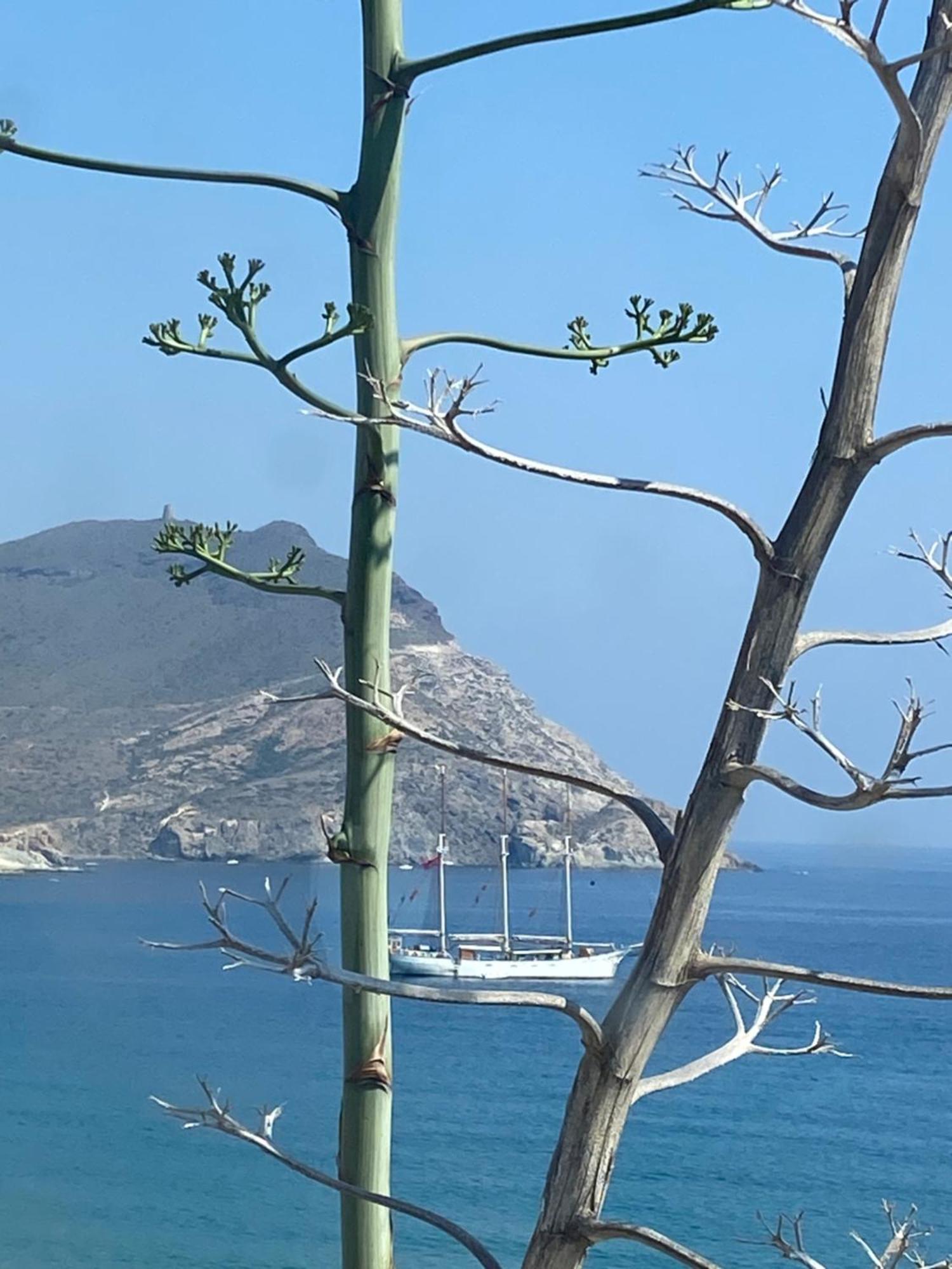 הוילה Casa Energia Del Cabo. San Jose Cabo De Gata. מראה חיצוני תמונה